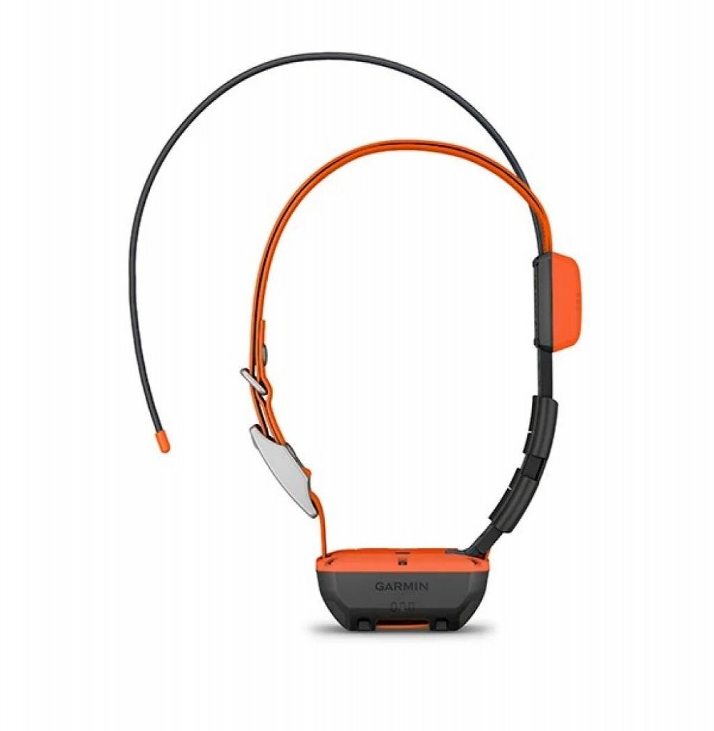 Gps Garmin Dog Collar T20